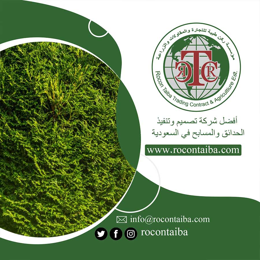 تركيب عشب صناعي بالدمام