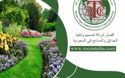 شركة تنسيق حدائق بالدمام 0580534763