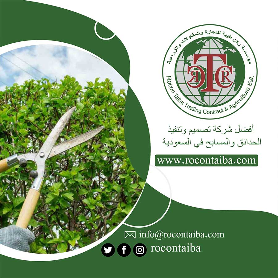 عامل قص اشجار بالرياض