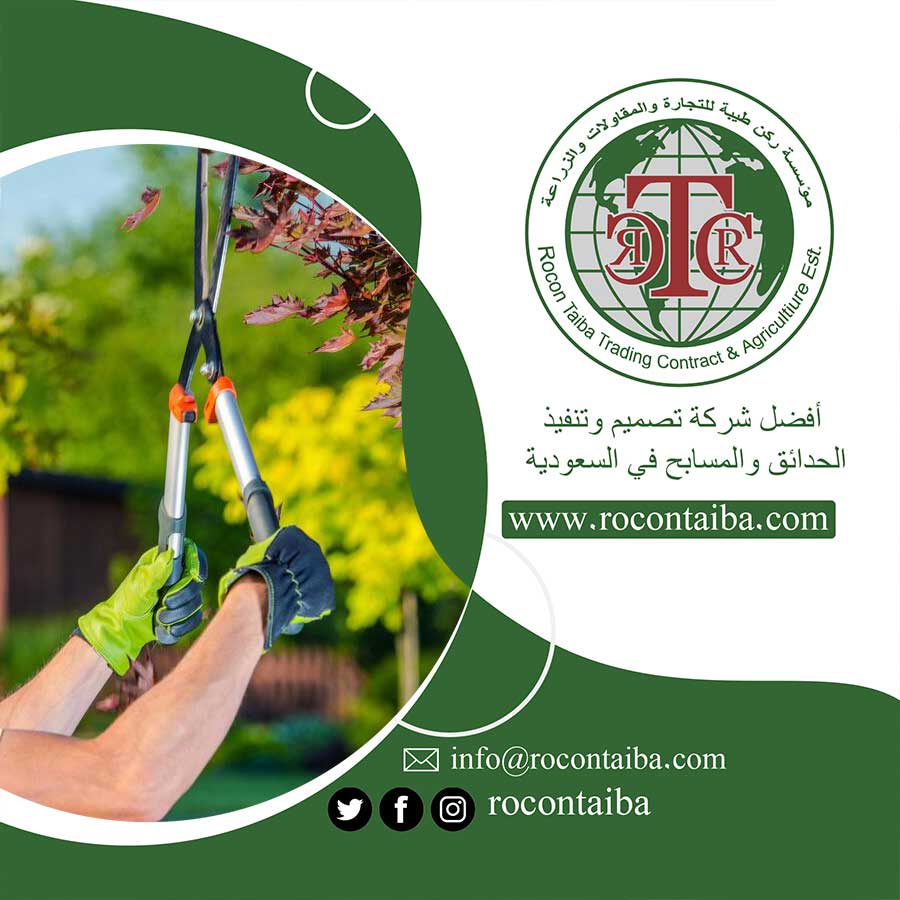 عامل قص اشجار بمكة