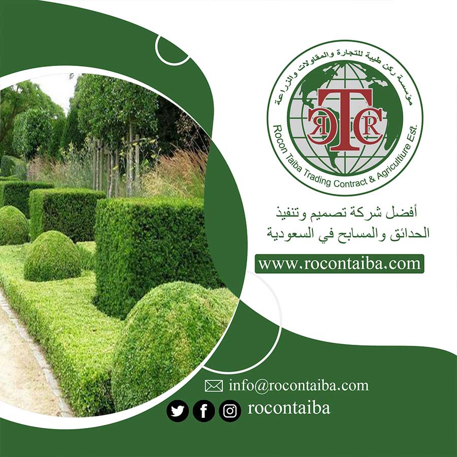 عامل قص اشجار بمكة
