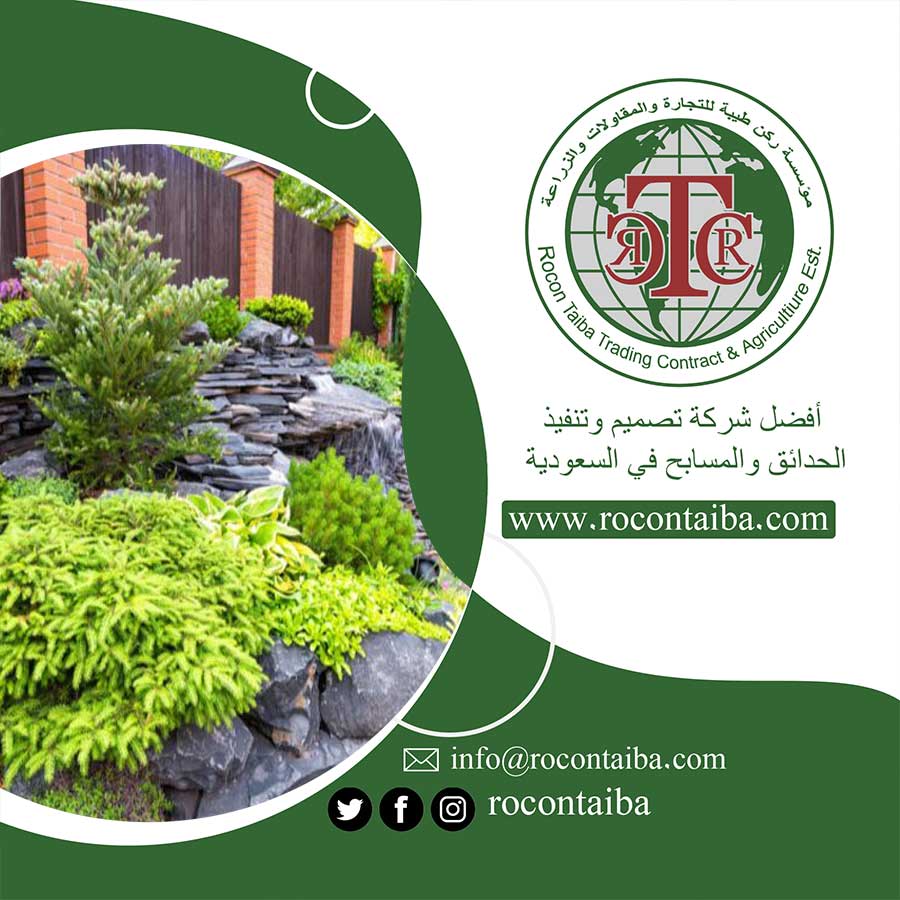 تركيب أحواض زرع خشبي بالمدينة
