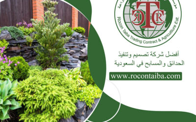 تركيب أحواض زرع خشبي جدة 0580534763