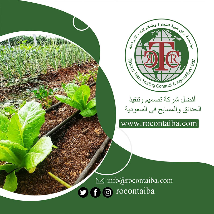 تصميم شبكات الري بالمدينة