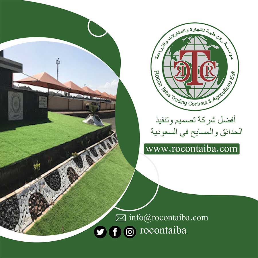 تصميم ممرات حجرية بالمدينة