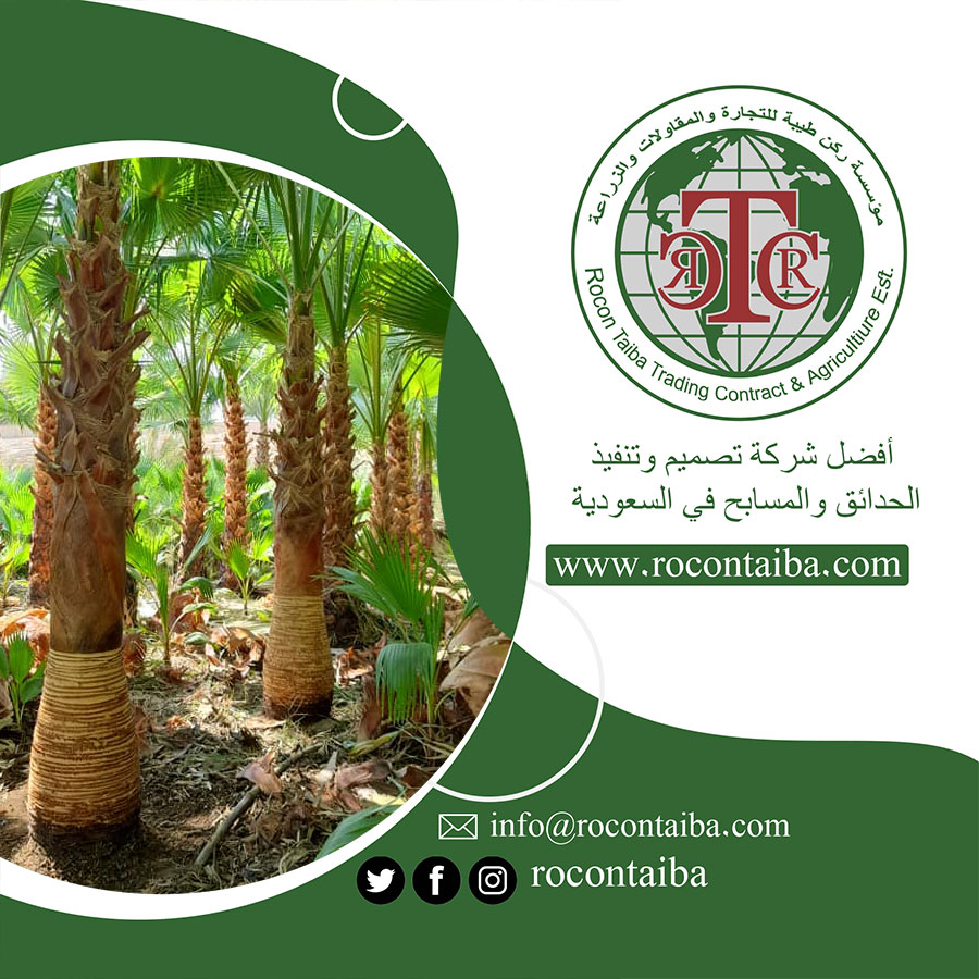 شركة تكريب نخيل بالرياض