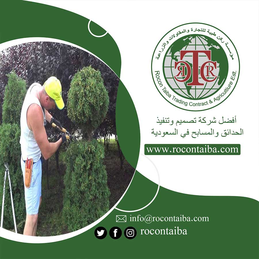 عامل قص اشجار بالمدينة
