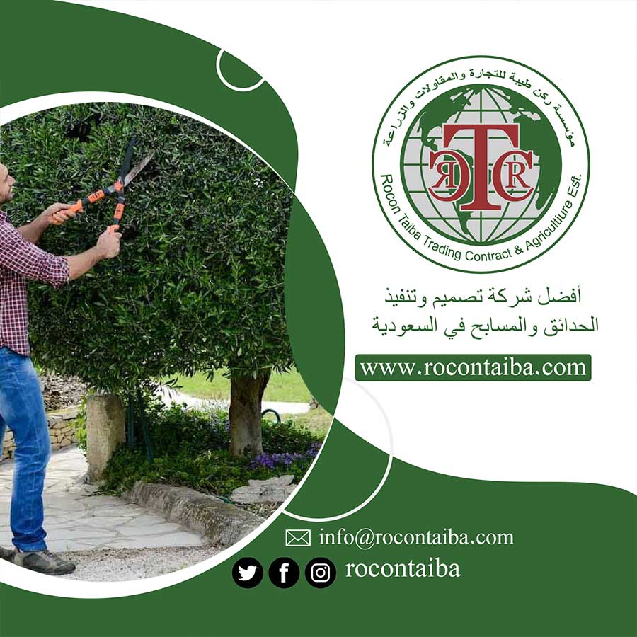 عامل قص اشجار بالمدينة